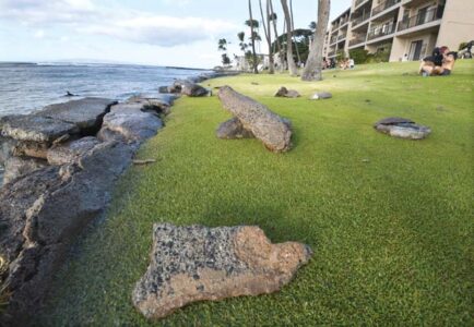 Parts of seawall succumb to swell